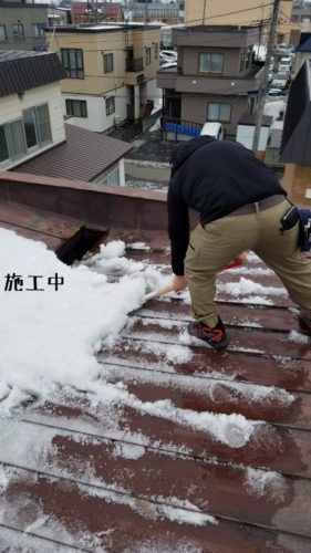 1552903065159-281x500