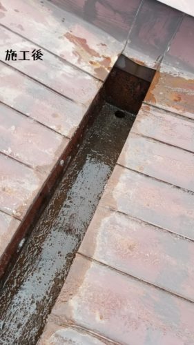 1552903099321-281x500