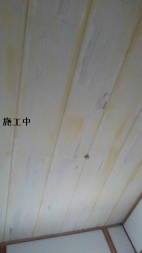 1553513054575-281x500