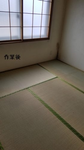 1553601586532-281x500