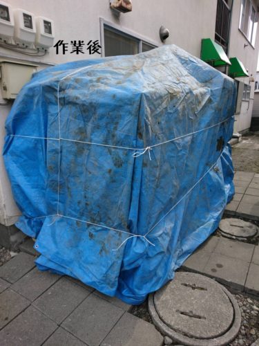 1554117053785-375x500