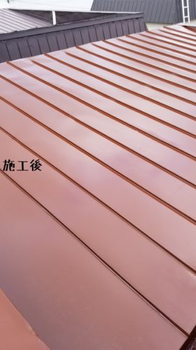 1554984242282-281x500