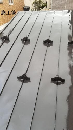 1554984838353-281x500