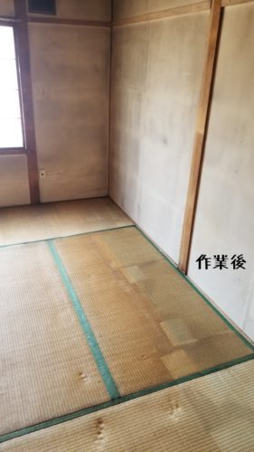 1555503734349-281x500