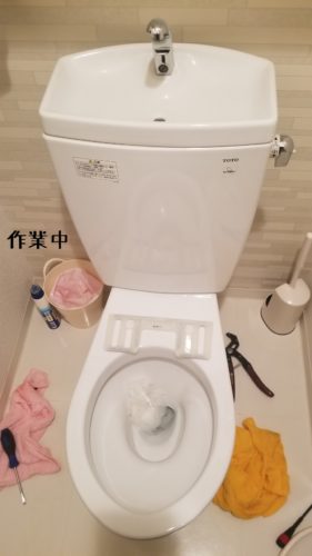 1555589498654-281x500