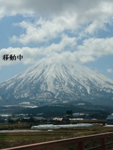 1555934072187-375x500