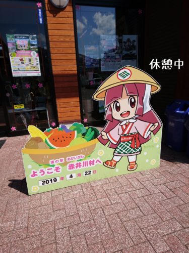 1555934130634-375x500