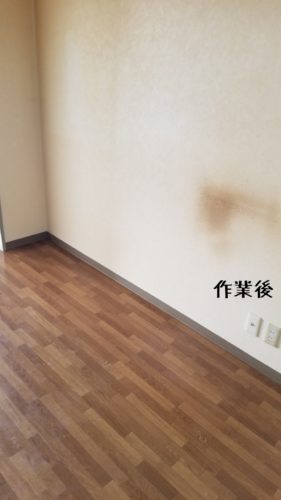 1556109965514-281x500