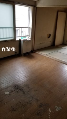 1556269790060-281x500