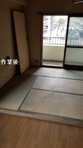 1556269814956-281x500