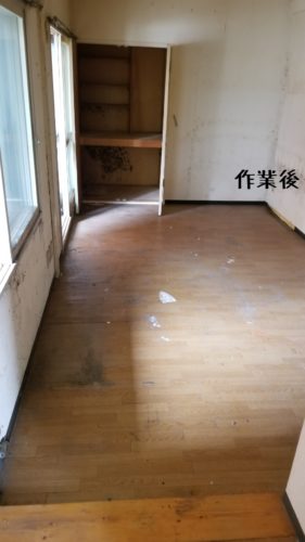 1556269845215-281x500