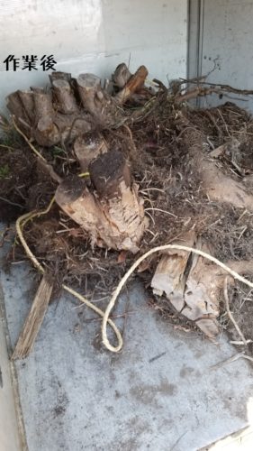 1556535885557-281x500