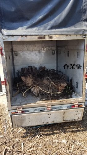 1556535919368-281x500