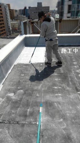 1557318339963-281x500