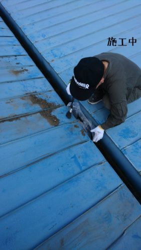 1557409680194-281x500