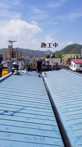 1557409709321-281x500