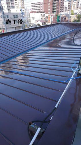 1557409818381-281x500