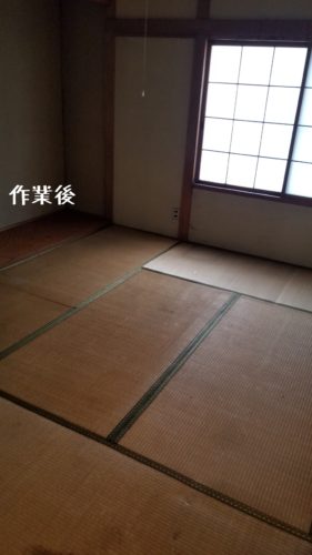 1557836486060 281x500