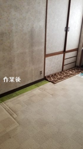 1557836540357 281x500