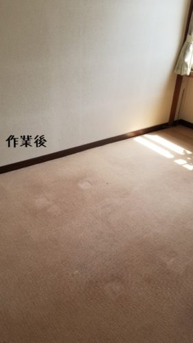 1557836564280 281x500