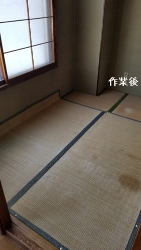 1558519692977 281x500