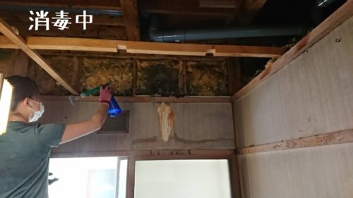 1558613977188 500x281