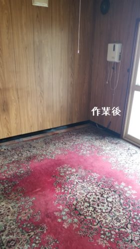 1559043922728 281x500