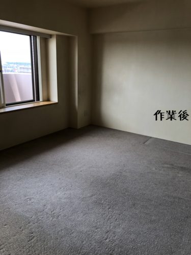 1560338920381 375x500