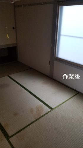 1560860431351 281x500