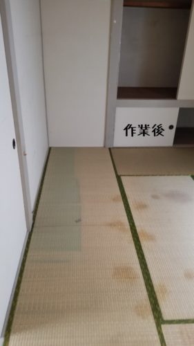 1560860469090 281x500