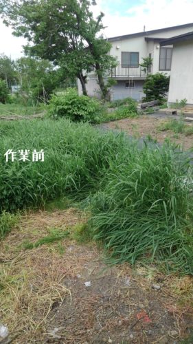 1560944465344 281x500