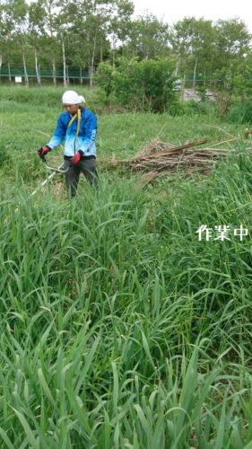 1560944485870 281x500