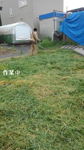 1560944504357 281x500