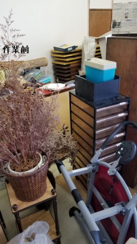 1548848092624-281x500-1