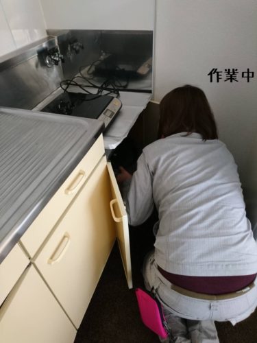 1551356337886-375x500