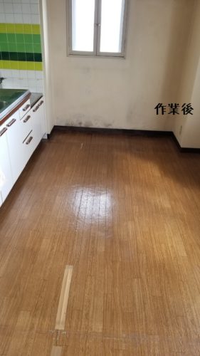 1551786502438-281x500