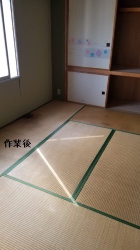 1551786534904-281x500