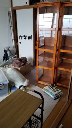 1551871369425-281x500