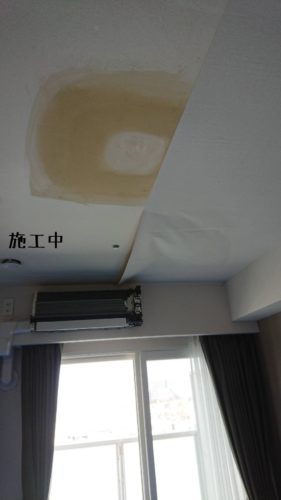 1551960192490-281x500