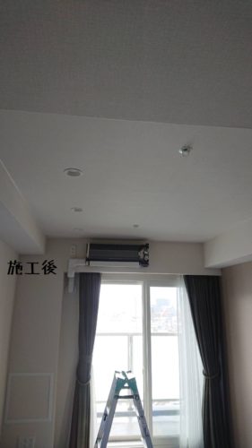 1551960223720-281x500