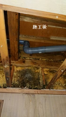 1558352897341 281x500 1