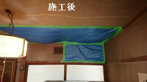 1558352927664 500x281 1