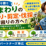 帯広・十勝の庭まわりで草刈り・剪定・伐採を案内する男性スタッフ